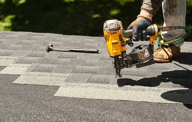 Best Roof Gutter Cleaning  in Mammoth Spring, AR